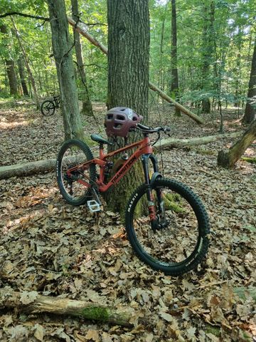Transition Scout Alloy GX 2024 2024 MTB usato