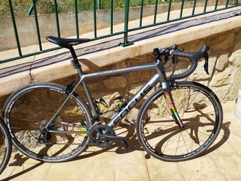 Brugt Focus Izalco Shimano 105 2019 Road & Gravel
