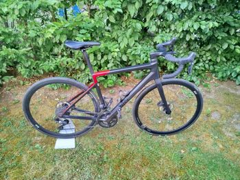 Brugt Rose Reveal Shimano Ultegra Di2 2023 Road & Gravel