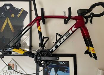 Used Trek Domane Frameset 2024 Road & Gravel