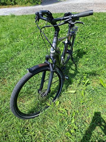 Used Giant DailyTour Shimano Nexus Hub Gear 2019 Urban, Light Gray — image 13 of 16