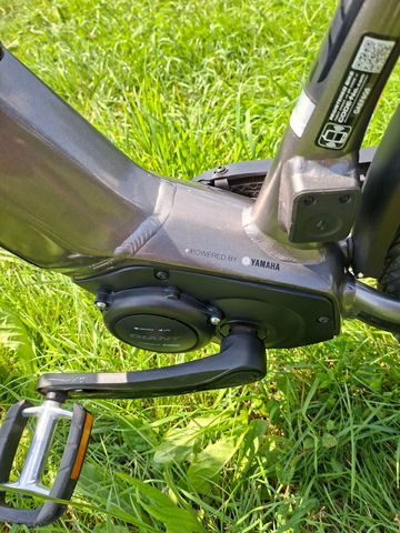 Used Giant DailyTour Shimano Nexus Hub Gear 2019 Urban, Light Gray — image 10 of 16