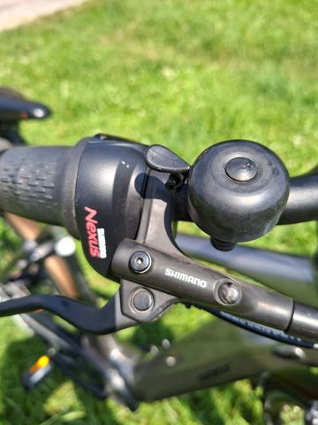 Used Giant DailyTour Shimano Nexus Hub Gear 2019 Urban, Light Gray — image 6 of 16