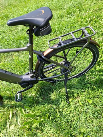 Used Giant DailyTour Shimano Nexus Hub Gear 2019 Urban, Light Gray — image 14 of 16
