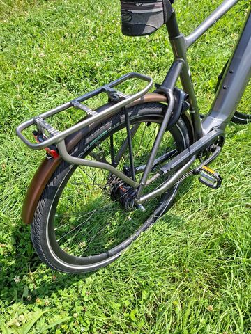 Used Giant DailyTour Shimano Nexus Hub Gear 2019 Urban, Light Gray — image 9 of 16
