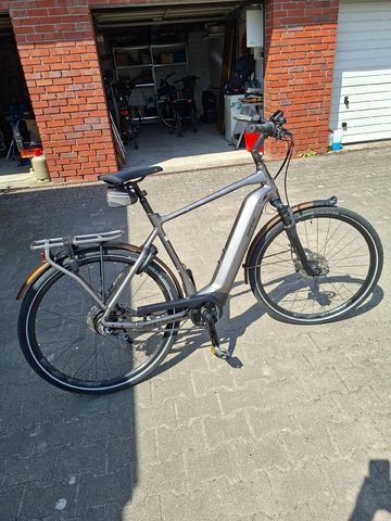 Used Giant DailyTour Shimano Nexus Hub Gear 2019 Urban, Light Gray — image 1 of 16