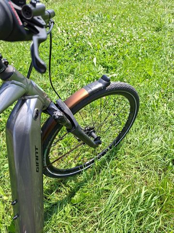 Used Giant DailyTour Shimano Nexus Hub Gear 2019 Urban, Light Gray — image 7 of 16