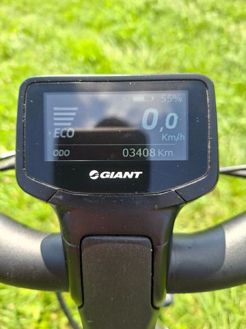 Used Giant DailyTour Shimano Nexus Hub Gear 2019 Urban, Light Gray — image 12 of 16