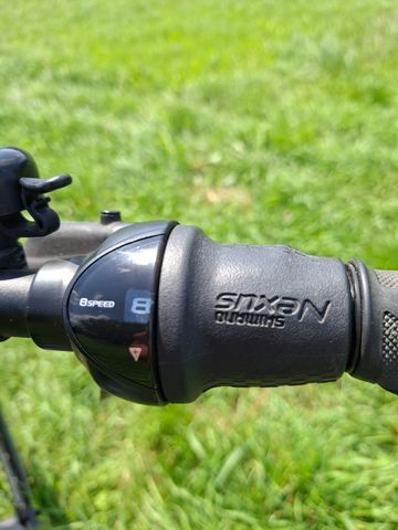 Used Giant DailyTour Shimano Nexus Hub Gear 2019 Urban, Light Gray — image 5 of 16