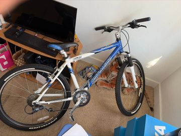 Used Specialized Rockhopper 2025 2025 Mountainbike, Blue, 27.5, 29 — image 3 of 3