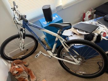 Used Specialized Rockhopper 2025 2025 MTB