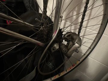 Used Colnago Master Other Campagnolo 1994 Road & Gravel, Black — image 4 of 17