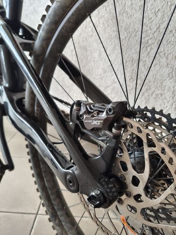 Brugt Canyon Torque Mullet CF 8 2024 2024 Mountainbike — billede 6 af 14