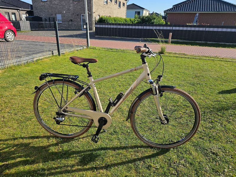 Used Diamant Ubari Shimano Altus 2019 Urban & Touring