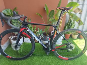 Used Olympia Custom Shimano Ultegra 2020 Road & Gravel