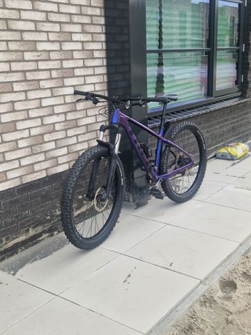 Used Trek Roscoe 6 2024 2024 Mountainbike, Purple, 27.5, 29 — image 2 of 7