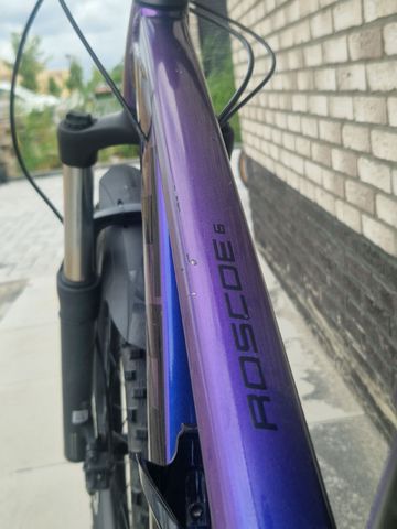 Used Trek Roscoe 6 2024 2024 Mountainbike, Purple, 27.5, 29 — image 7 of 7