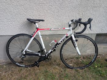 Brugt Focus Cayo Shimano Tiagra 2013 Road & Gravel