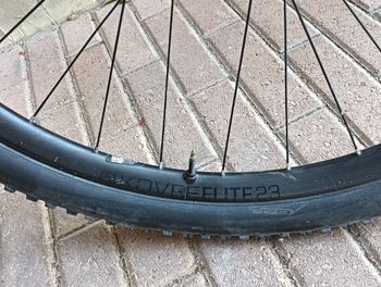 Brugt Trek Procaliber 9.7 2020 2020 Mountainbike — billede 14 af 15