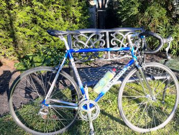 Used Colnago Art Decor Competition 1992 Road & Gravel
