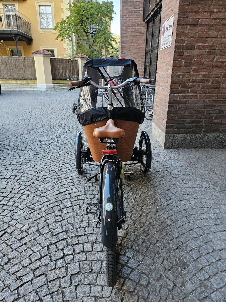 Brugt Babboe Carve Mountain 2022 Urban — billede 4 af 18