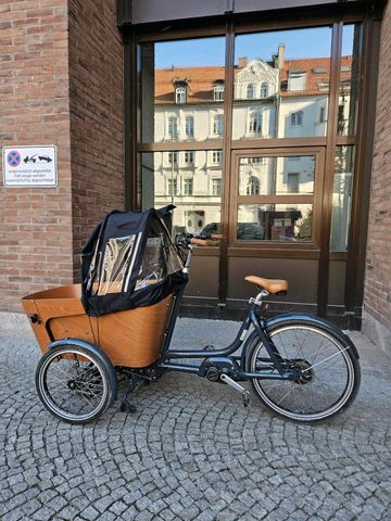 Brugt Babboe Carve Mountain 2022 Urban — billede 15 af 18