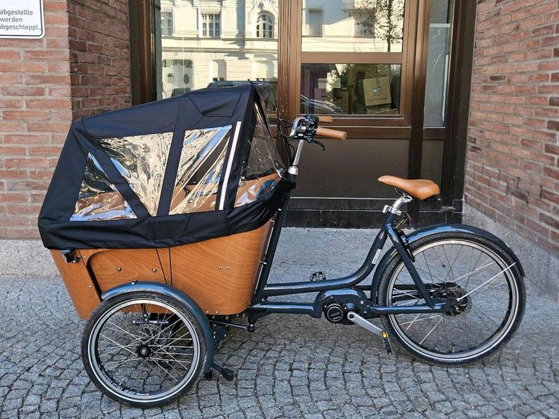 Used Babboe Carve Mountain 2022 Urban & Touring