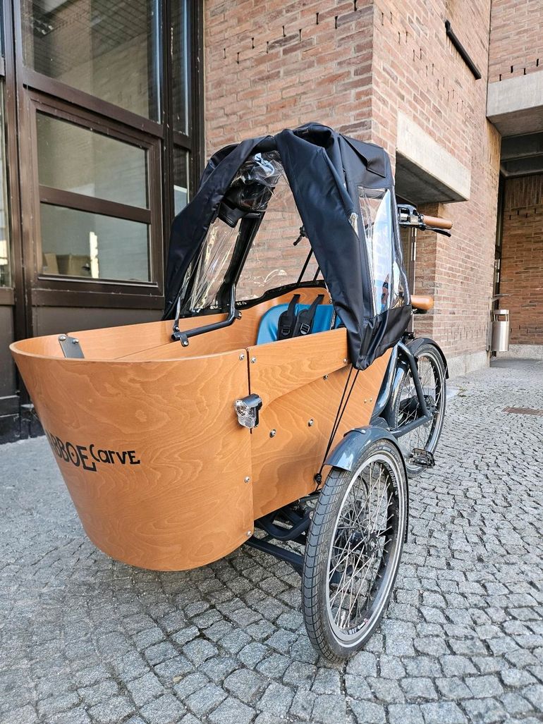 Brugt Babboe Carve Mountain 2022 Urban — billede 11 af 18