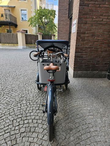 Babboe Curve Mountain Urban usato, Grigio chiaro — immagine 3 di 16