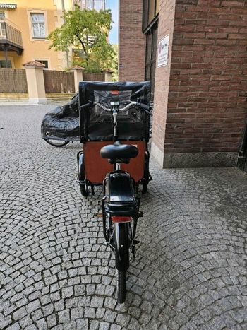 Brugt Babboe Dog-E 2022 Urban — billede 3 af 15