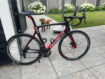 Used Pinarello Dogma Campagnolo Record EPS 2019 Road & Gravel