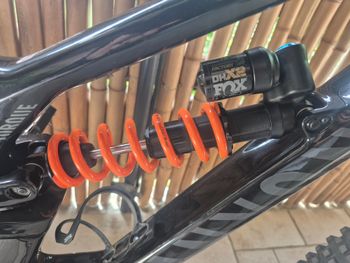 Brugt Canyon Torque Mullet CF 9 2025 2025 Mountainbike — billede 5 af 9