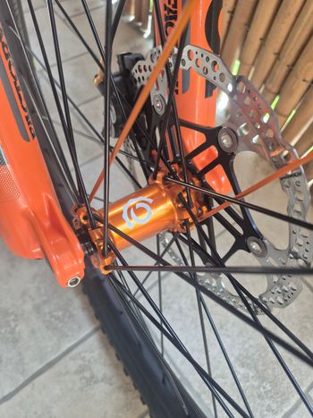 Brugt Canyon Torque Mullet CF 9 2025 2025 Mountainbike — billede 3 af 9