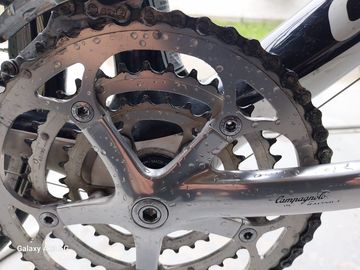 Used Autre Custom Campagnolo Record 2013 Road & Gravel, Green — image 2 of 4