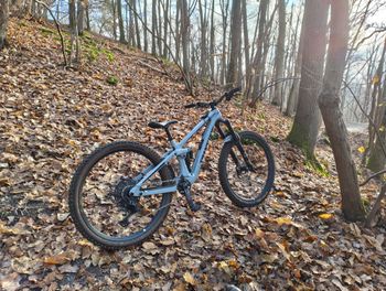 Used Transition Spire Carbon GX 2024 2024 MTB