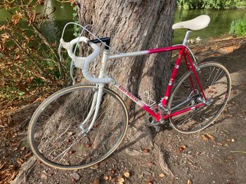 Brugt Eddy Merckx Corsa Extra 1987 Road & Gravel — billede 3 af 14