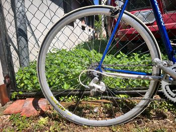 Colnago Master Shimano 105 1985 Road & Gravel usato, Blu — immagine 4 di 6