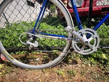 Colnago Master Shimano 105 1985 Road & Gravel usato, Blu — immagine 3 di 6