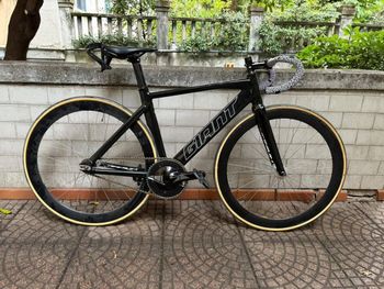 Used Giant Omnium 2017 2017 Road & Gravel