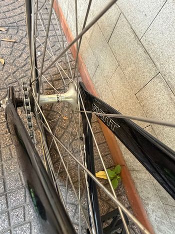 Used Giant Omnium 2017 2017 Road & Gravel, Black — image 4 of 13