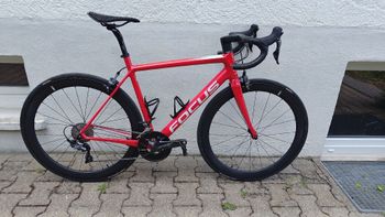 Used Focus IZALCO RACE 9.8 2019 2019 Road & Gravel