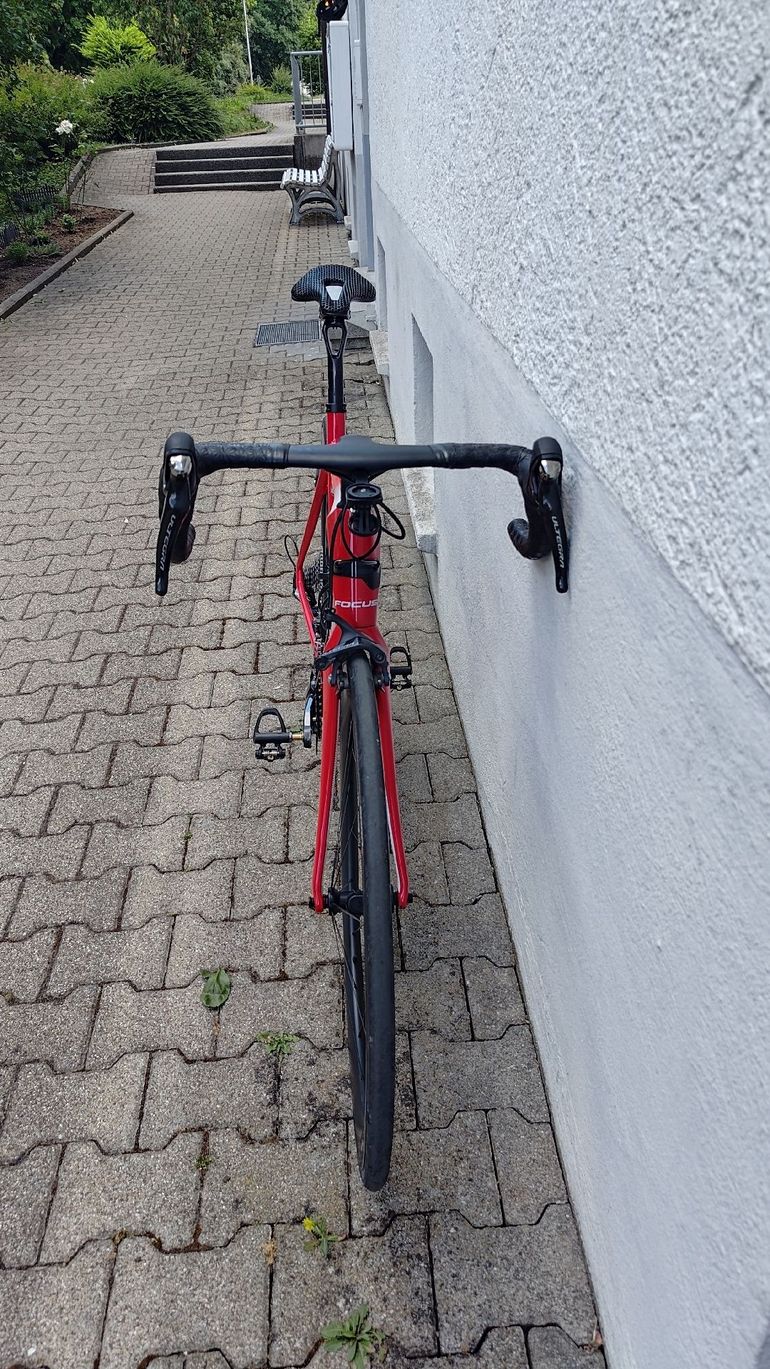 Focus IZALCO RACE 9.8 2019 | buycycle