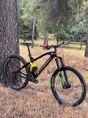 Mondraker Dune R 2019 2019 VTT d'occasion