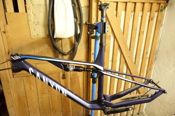 Brugt Canyon CF, 2022' Team Alpecin-Fenix Gr. L Frameset 2022 MTB