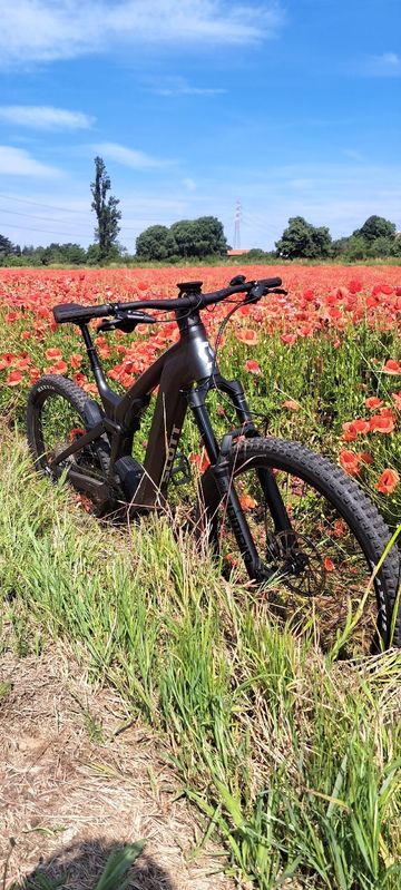 Used Scott Patron 910 2025 2025 Mountainbike, Green, 29 — image 11 of 12