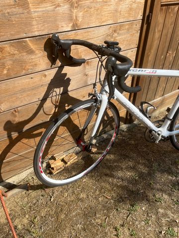 SCAPIN Custom Shimano Ultegra Di2 (12 Speed) 2015 Road & Gravel usato, Bianco — immagine 4 di 4