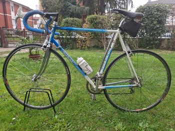 Colnago Custom Campagnolo Record 1988 Road & Gravel usato, Blu — immagine 2 di 8