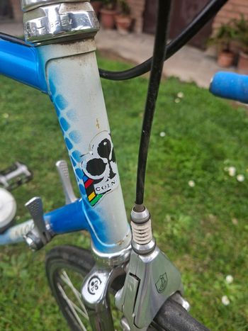 Colnago Custom Campagnolo Record 1988 Road & Gravel usato, Blu — immagine 7 di 8