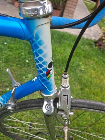 Colnago Custom Campagnolo Record 1988 Corsa & gravel usato
