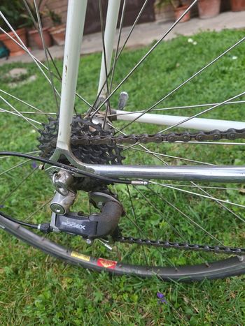 Colnago Custom Campagnolo Record 1988 Road & Gravel usato, Blu — immagine 5 di 8